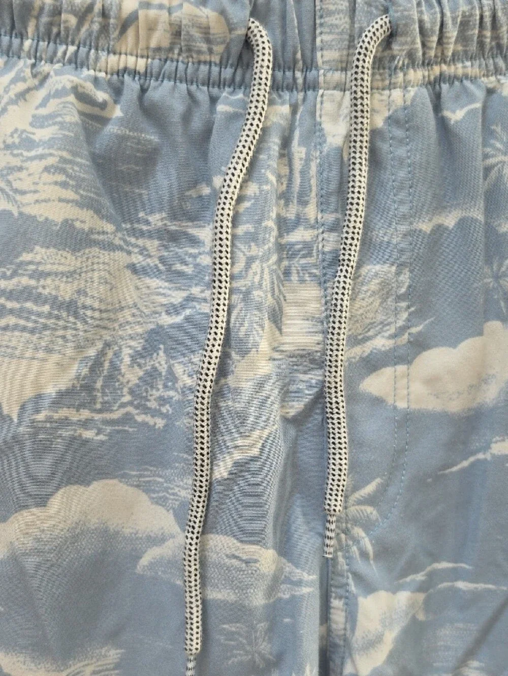 Rip Curl Light Blue and White Palm Print Swim Trunks